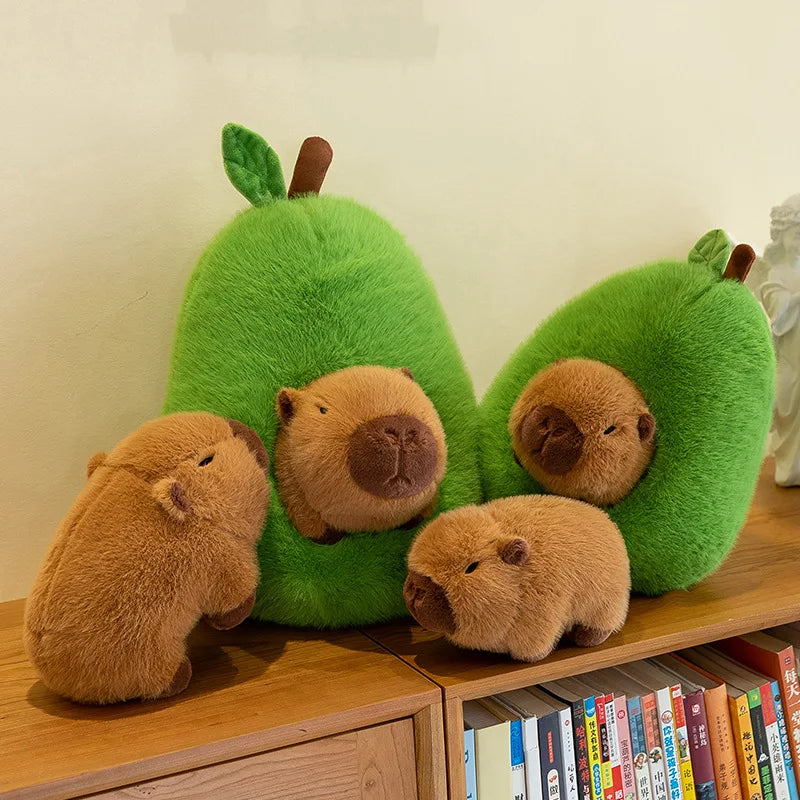 CuddleCapy & AvoHome