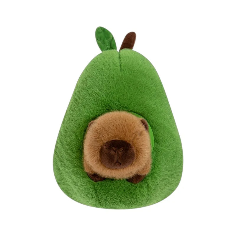 CuddleCapy & AvoHome