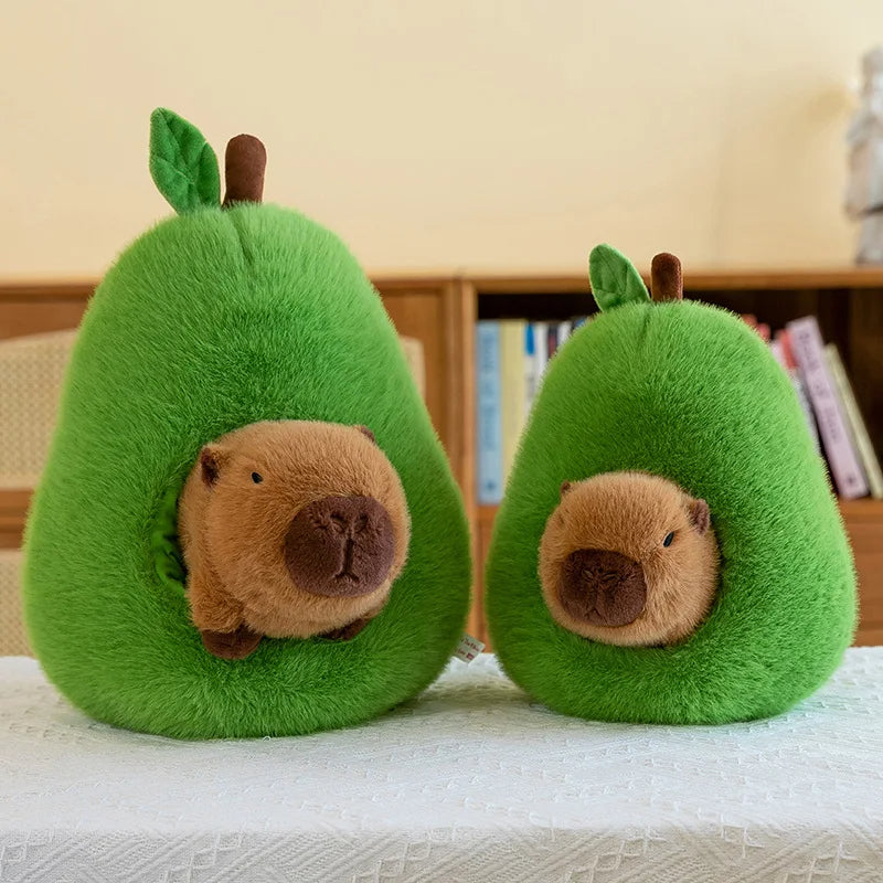 CuddleCapy & AvoHome