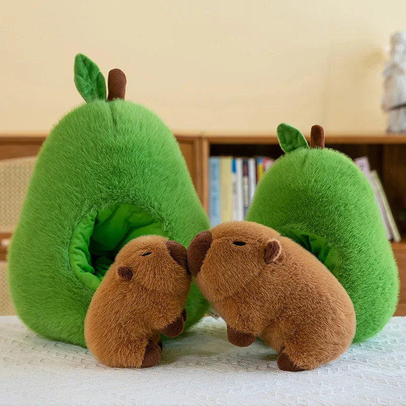 CuddleCapy e AvoHome